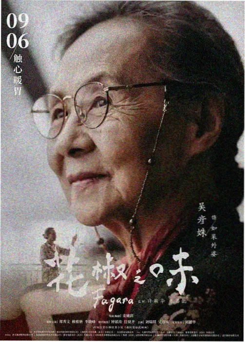 影视在线观看动漫卡：猫与旧地图手绘地图